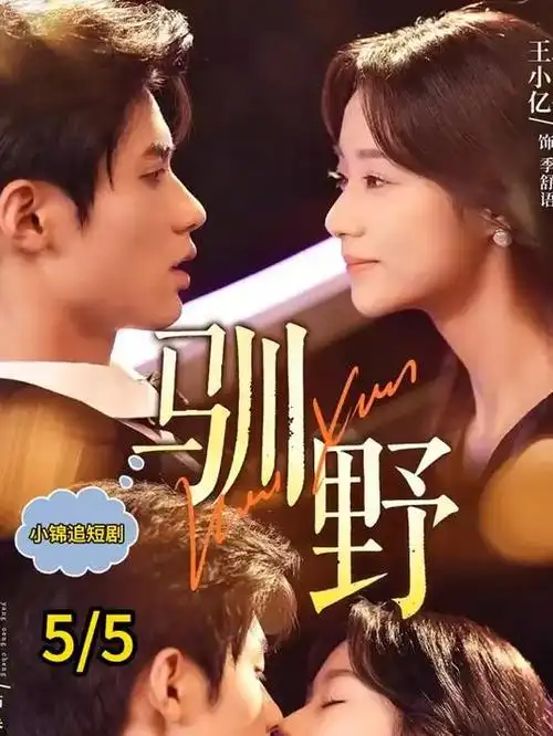 山河枕上书 古装剧全集手机在线看